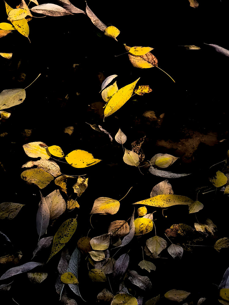 Photograph by Ольга Гончарова