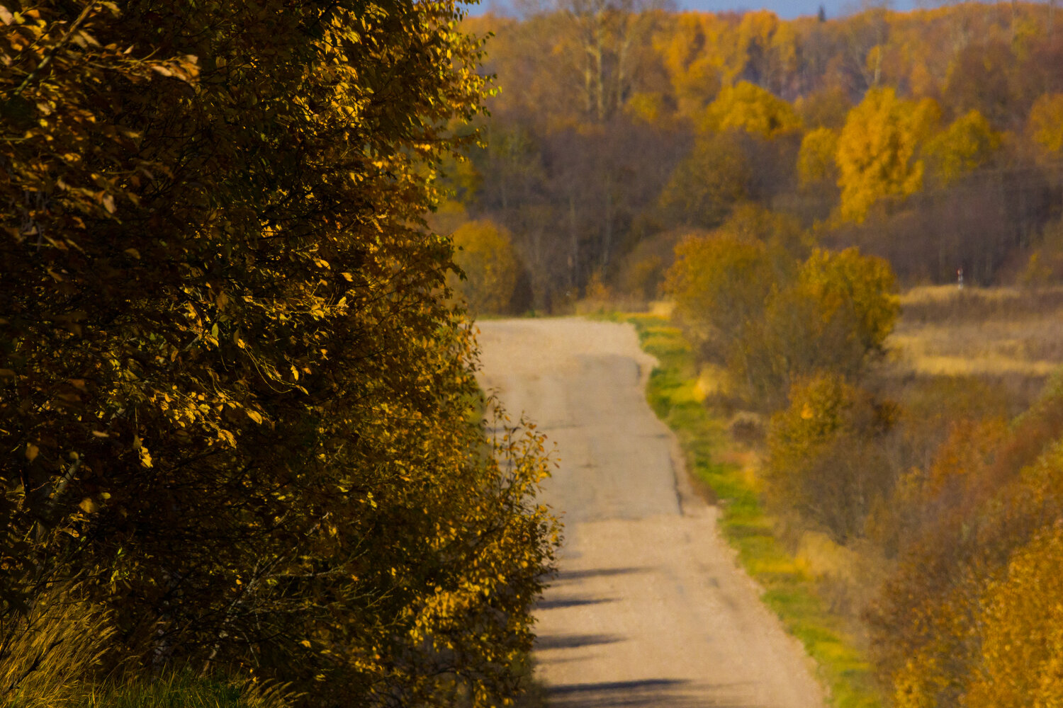 Photo #14092595