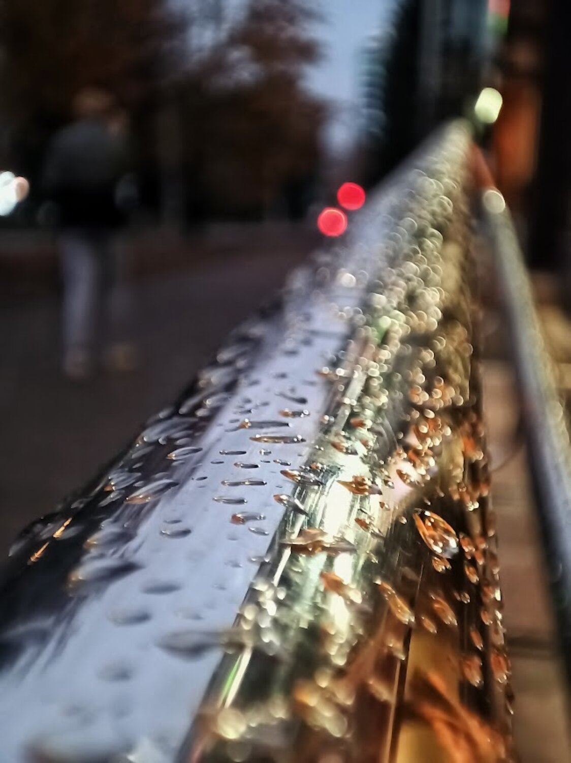 Photo #14092613
