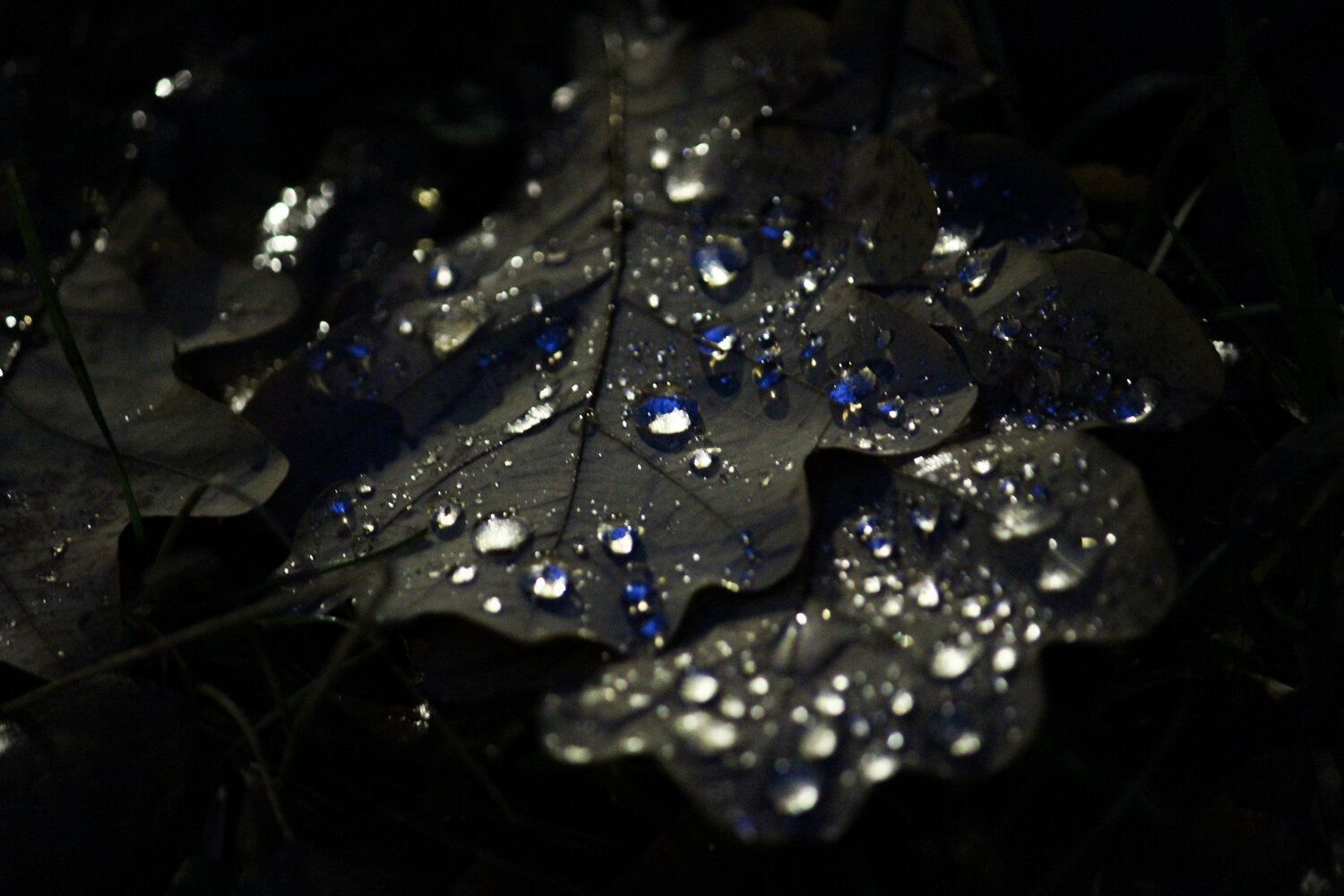 Photo #14092672