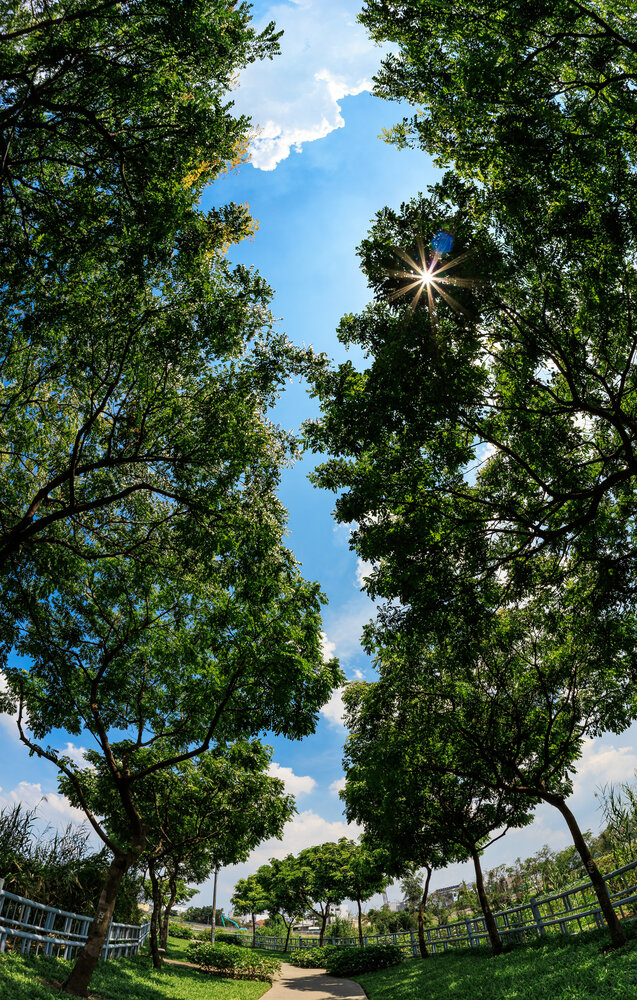Photograph by Chau Nguyen