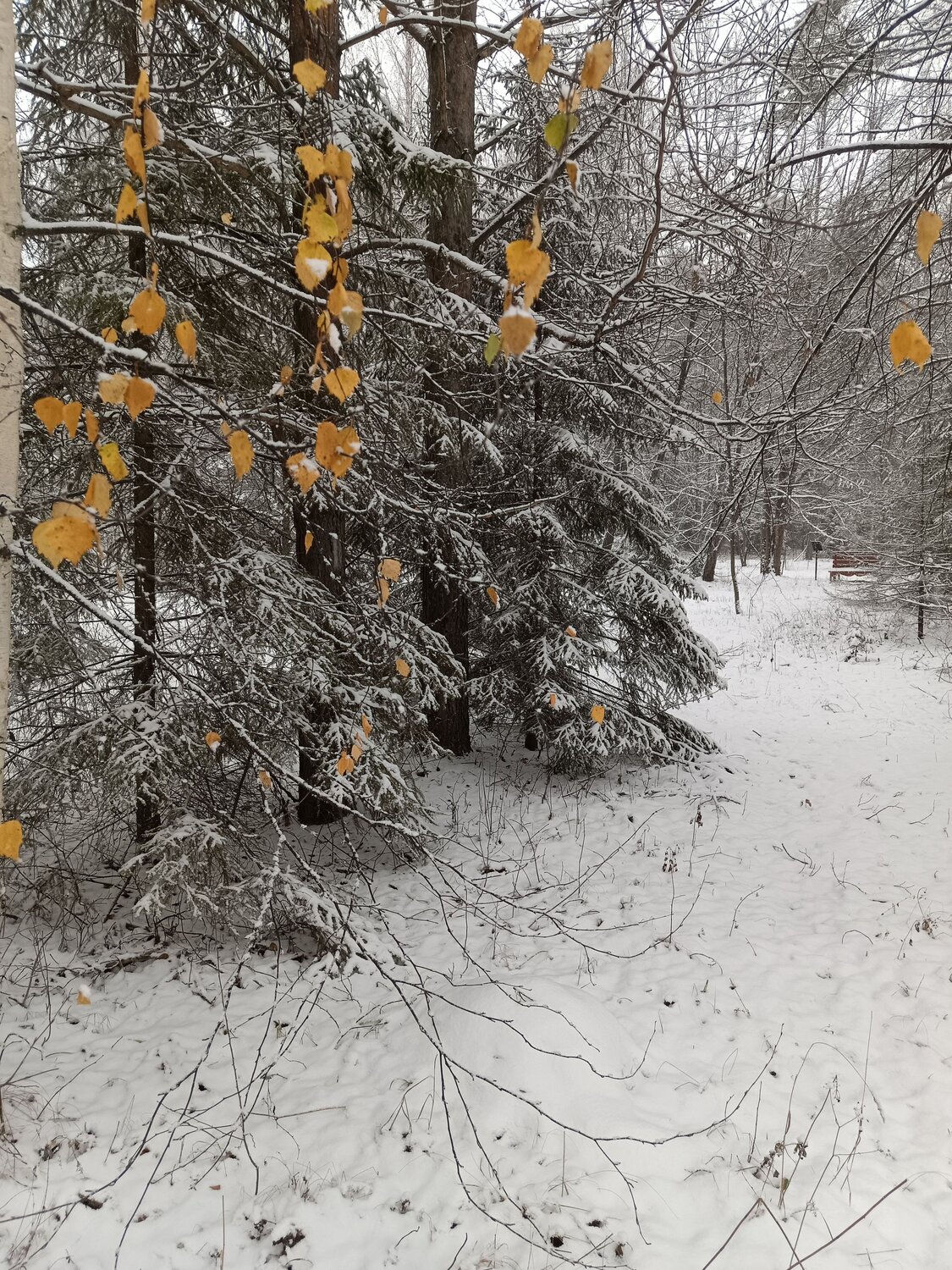 Photo #14092771