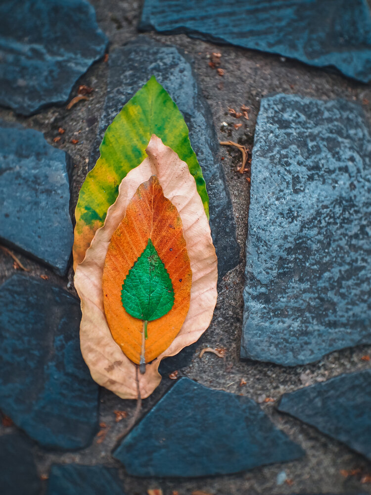 Photograph by Chau Nguyen
