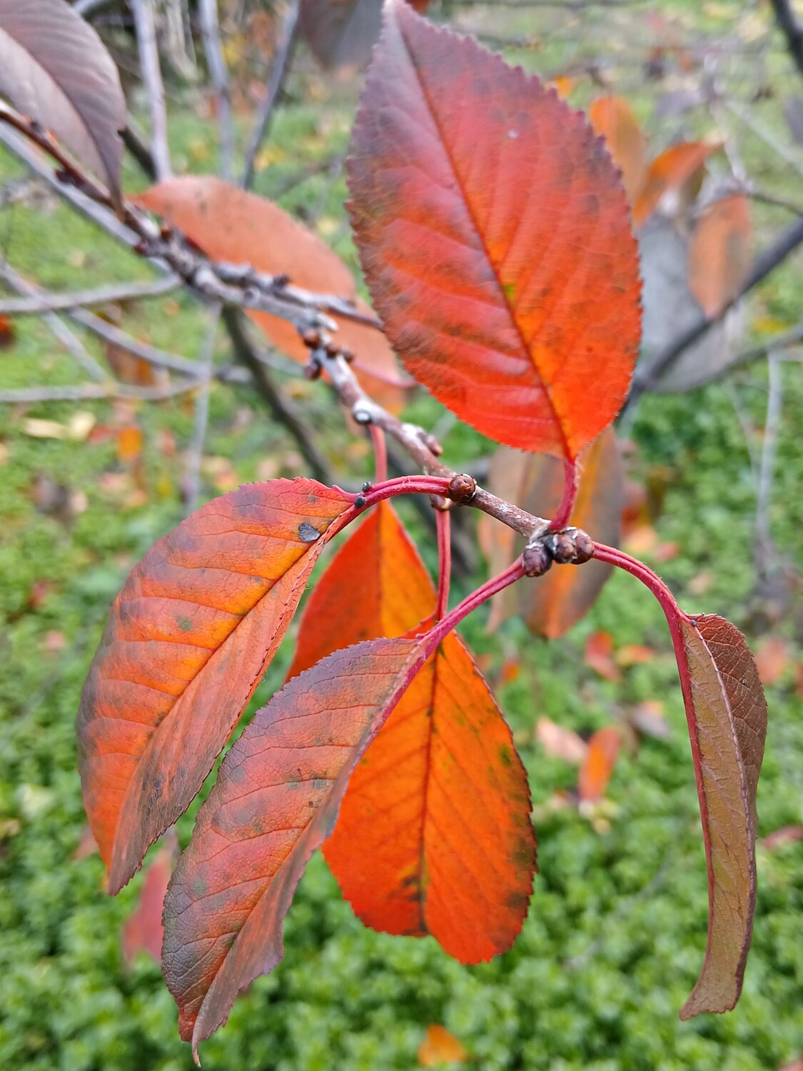 Photo #14092800