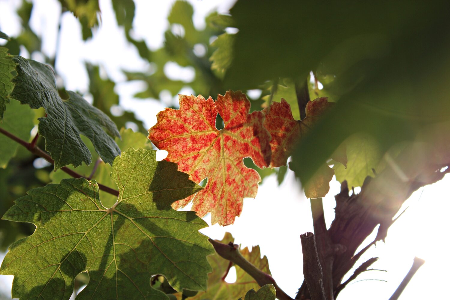 Photo #14092805