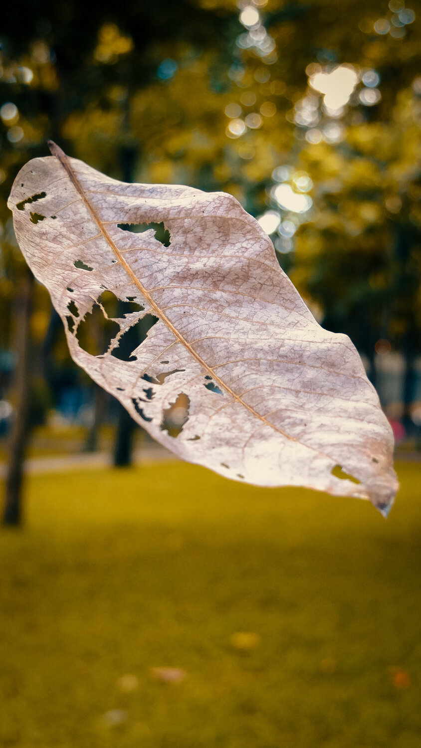 Photo #14092820