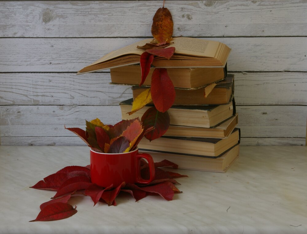 Photo #14092841