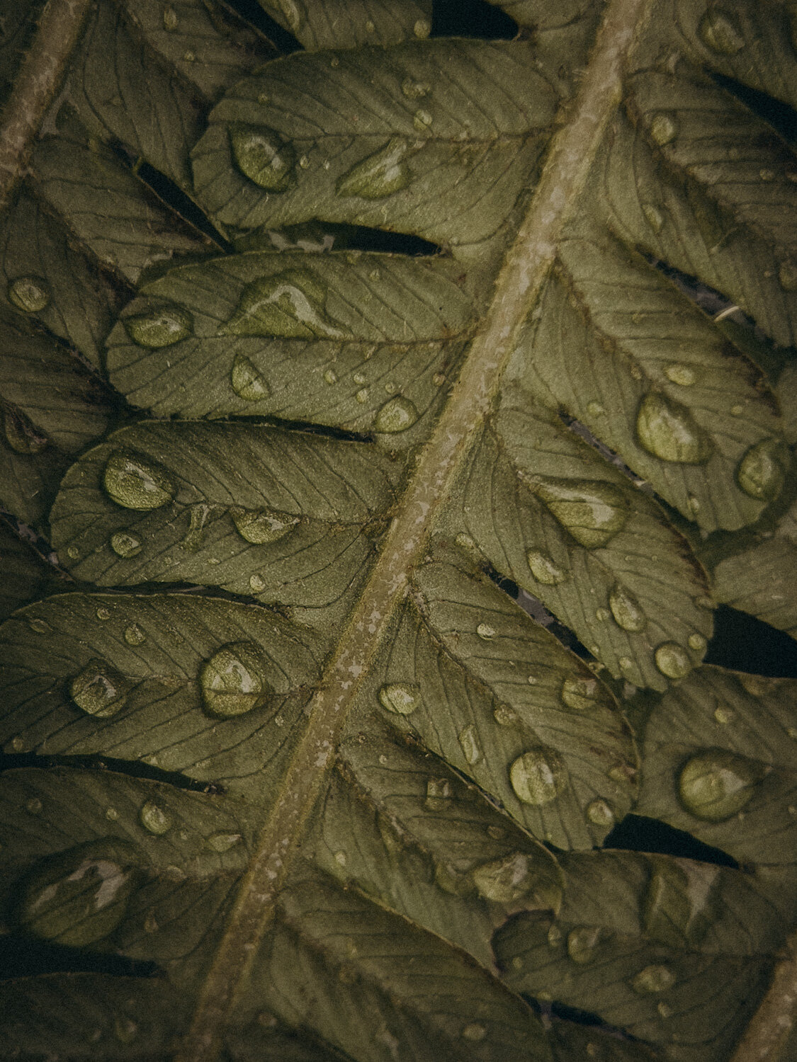 Photo #14092869