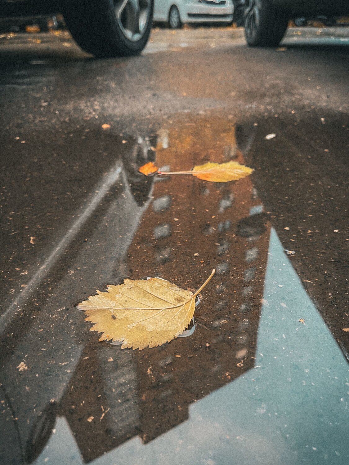 Фотография #14093079