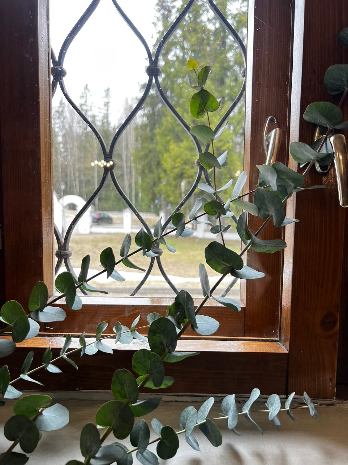 Photo #14093088