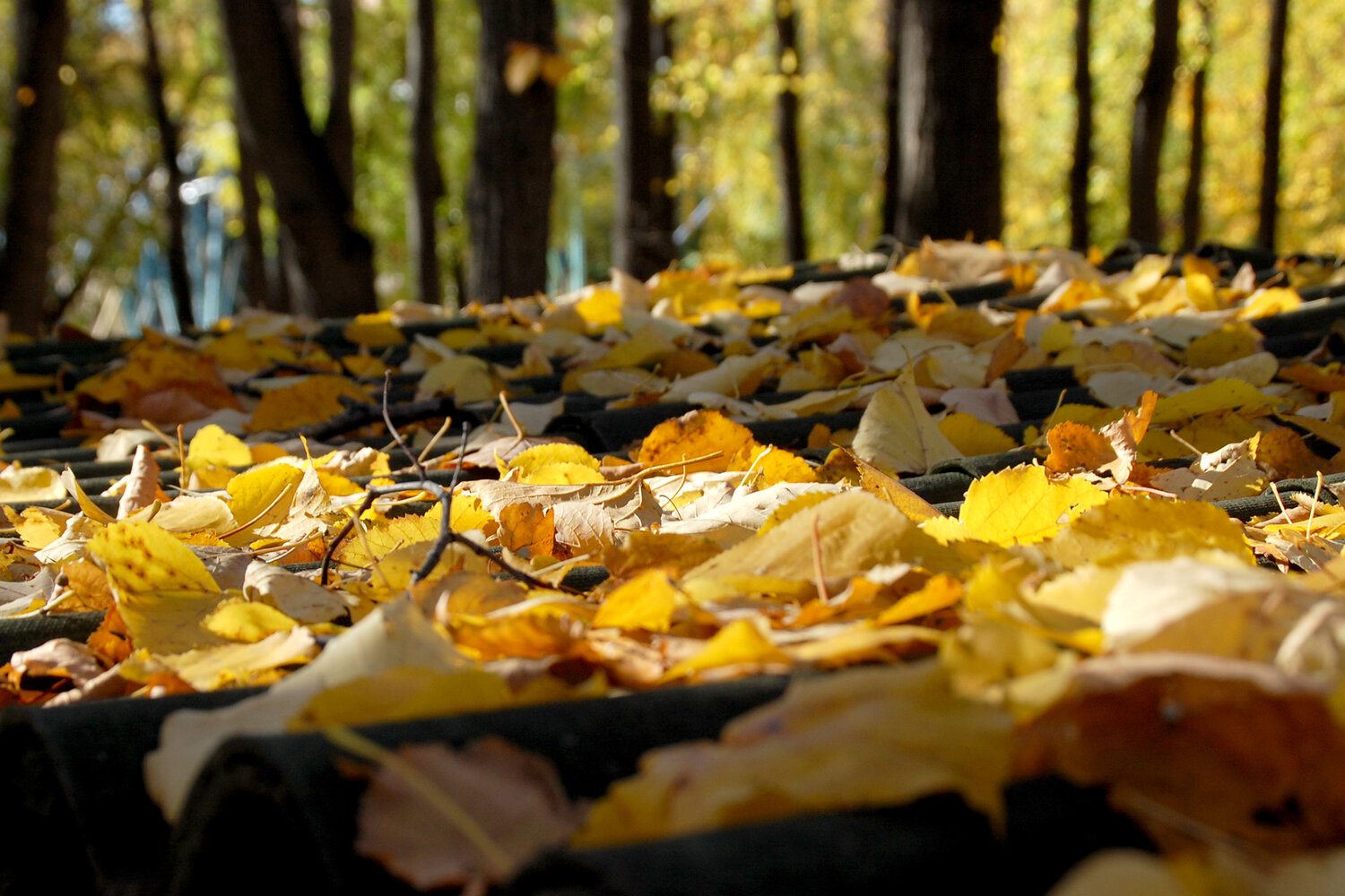 Photo #14093205