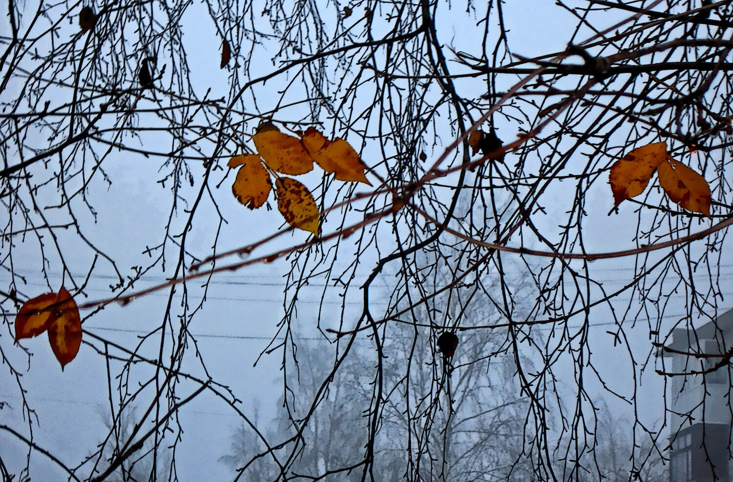 Photo #14093365
