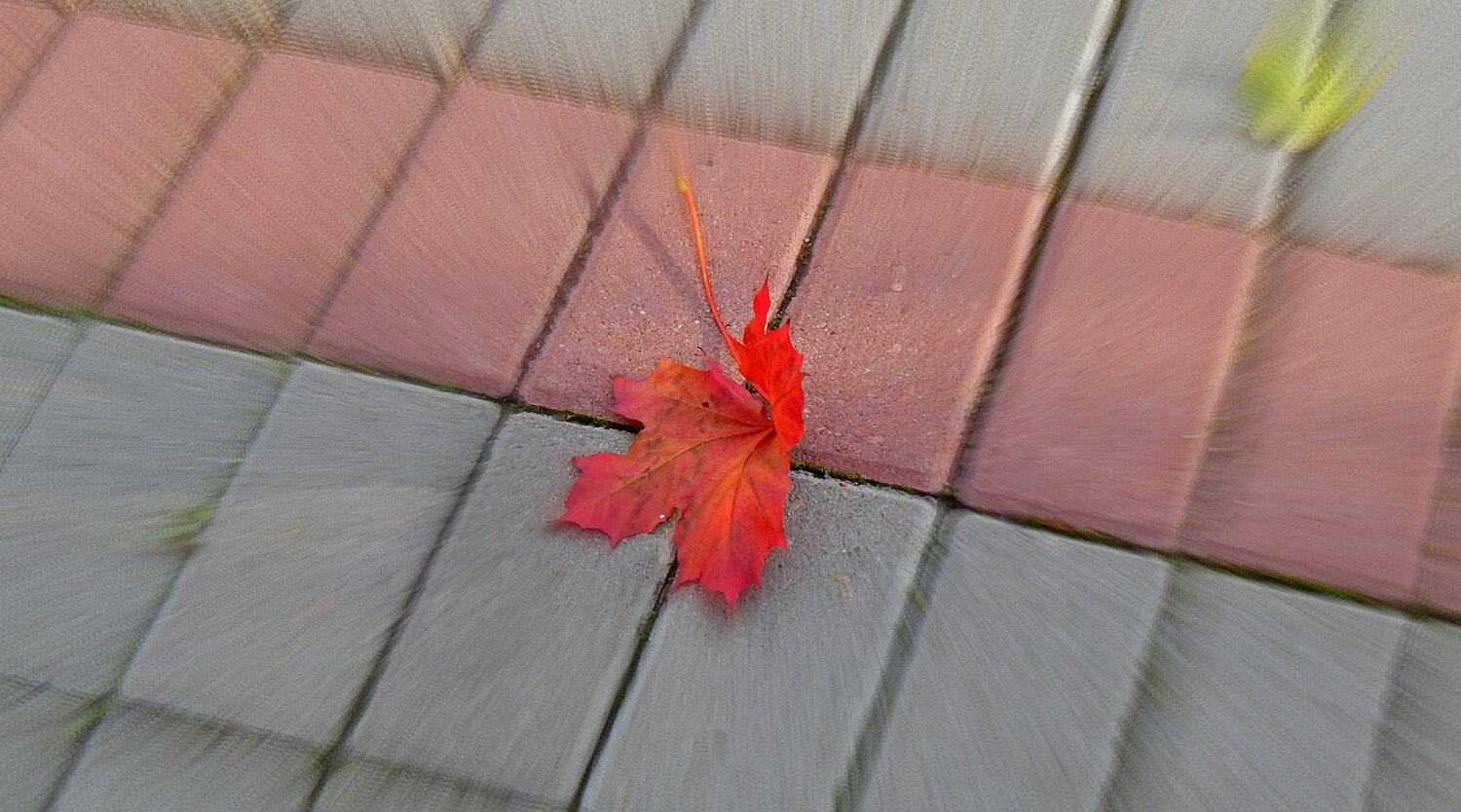 Photo #14093367