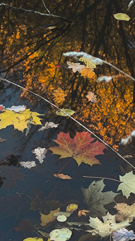 Фотография #14093477