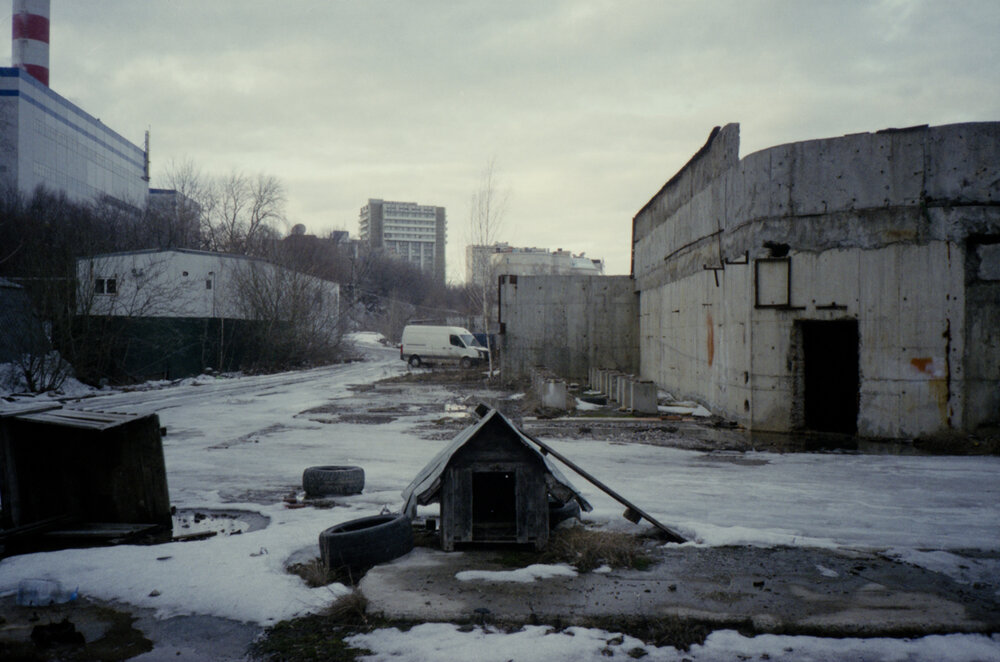 Photograph by Роман Бадусов