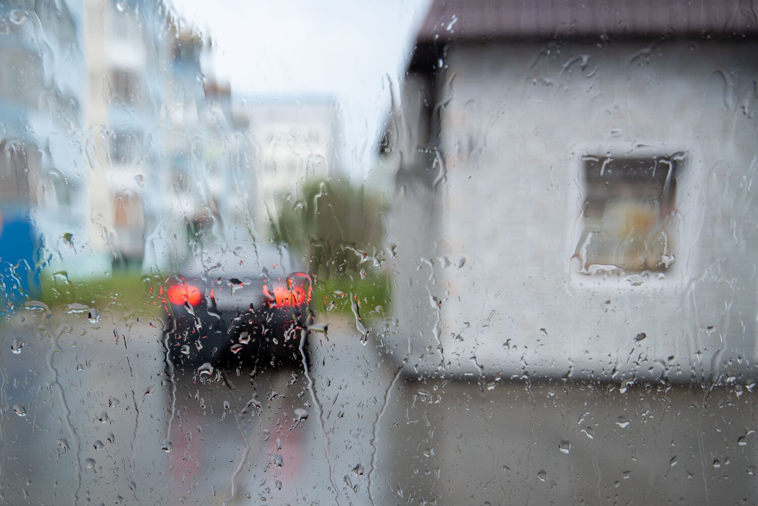 Photo #14093540