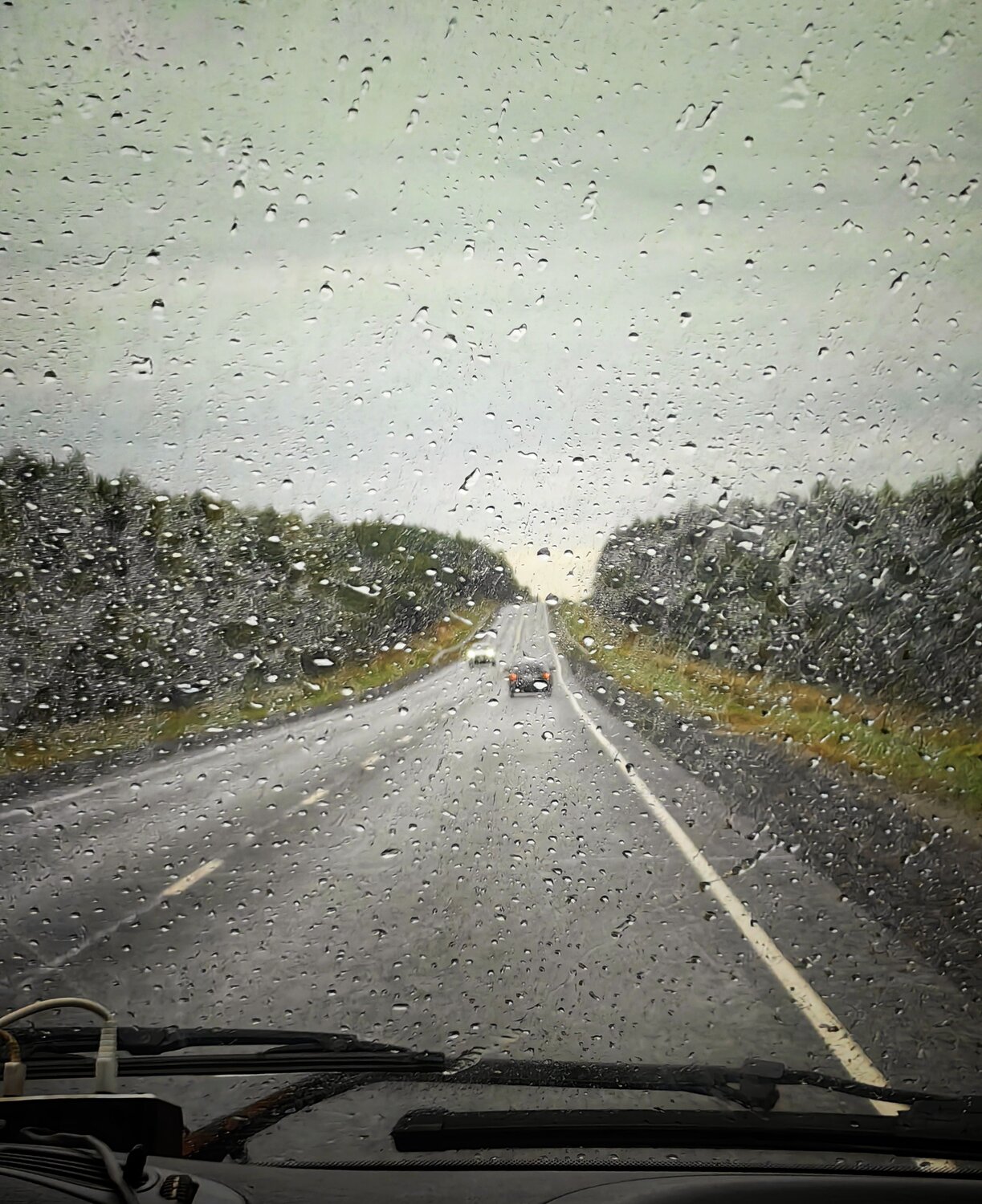 Photo #14093578