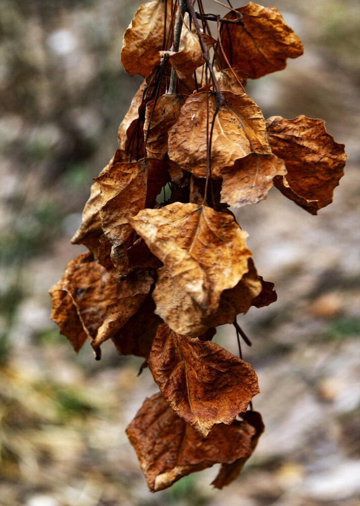 Photograph by Федюков Алексей