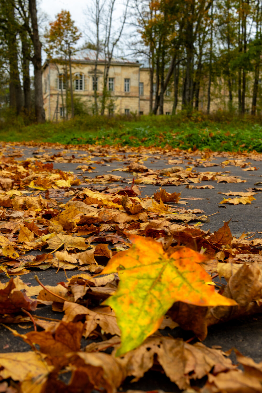 Photo #14093632