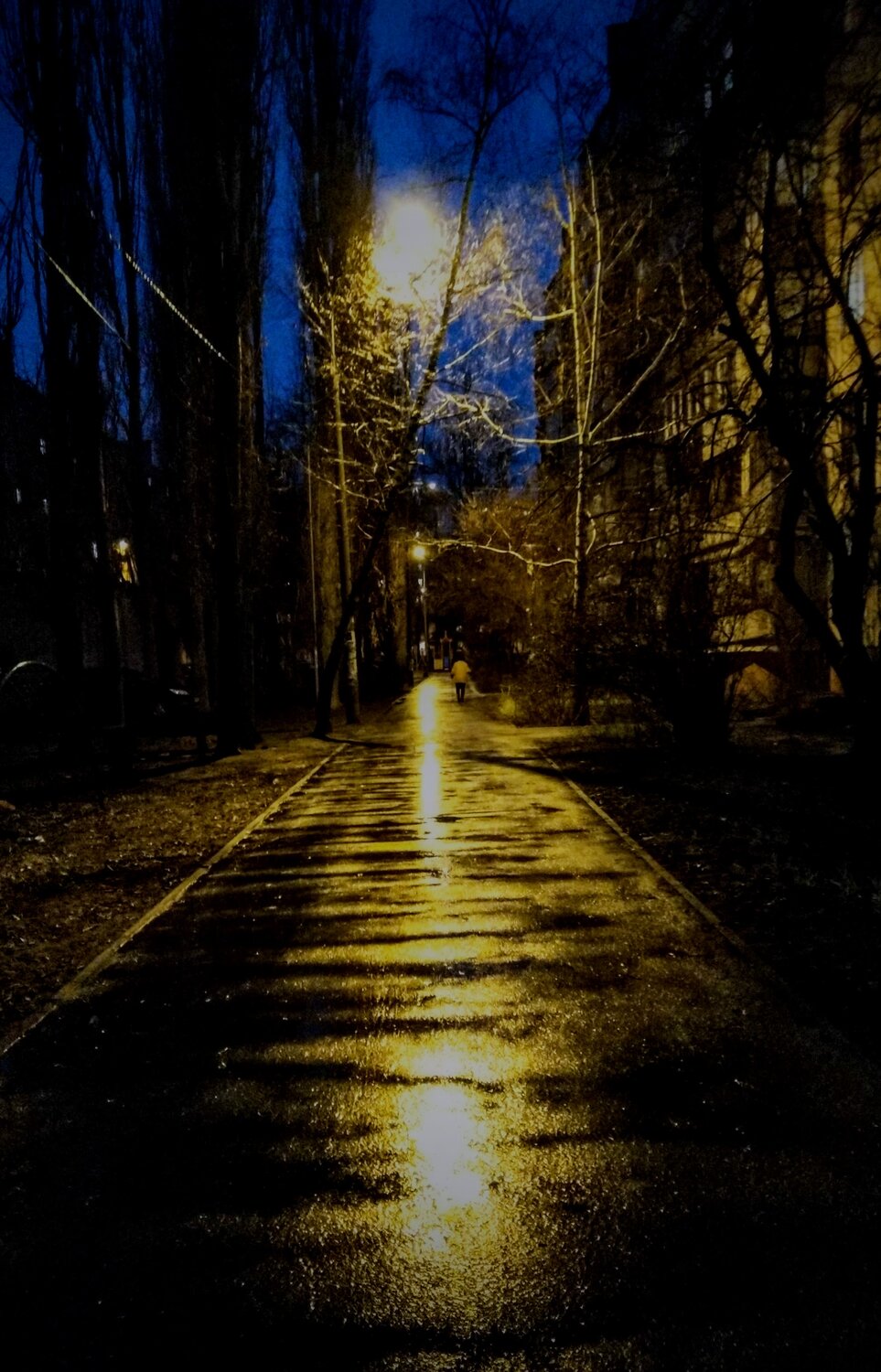 Photo #14093662