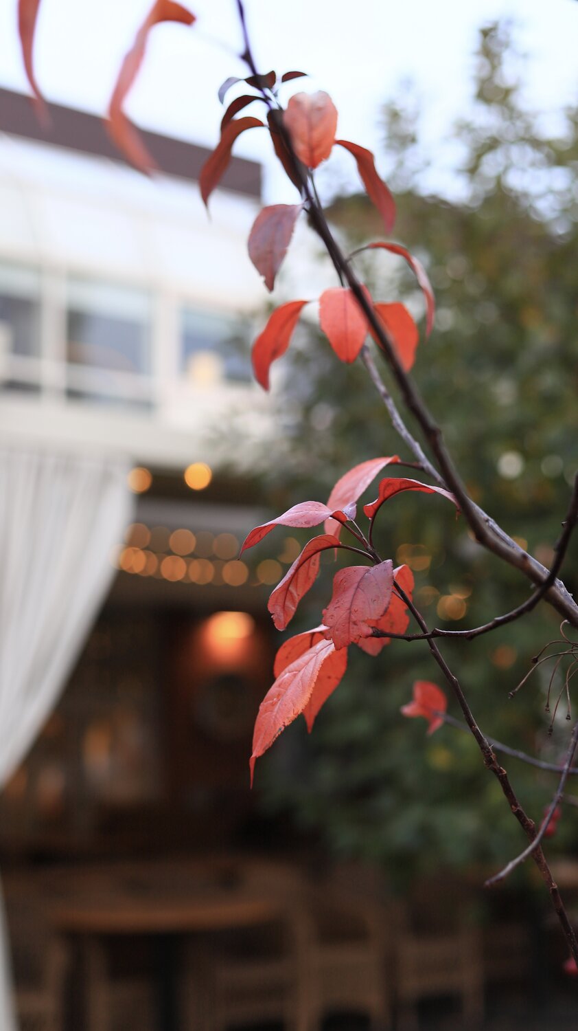Photo #14093697