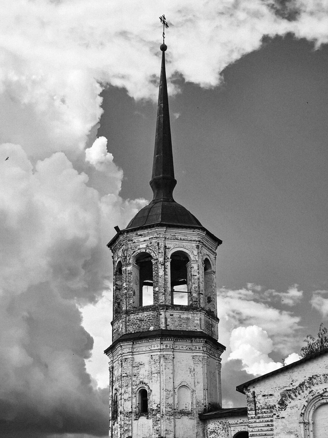 Photo #14093708