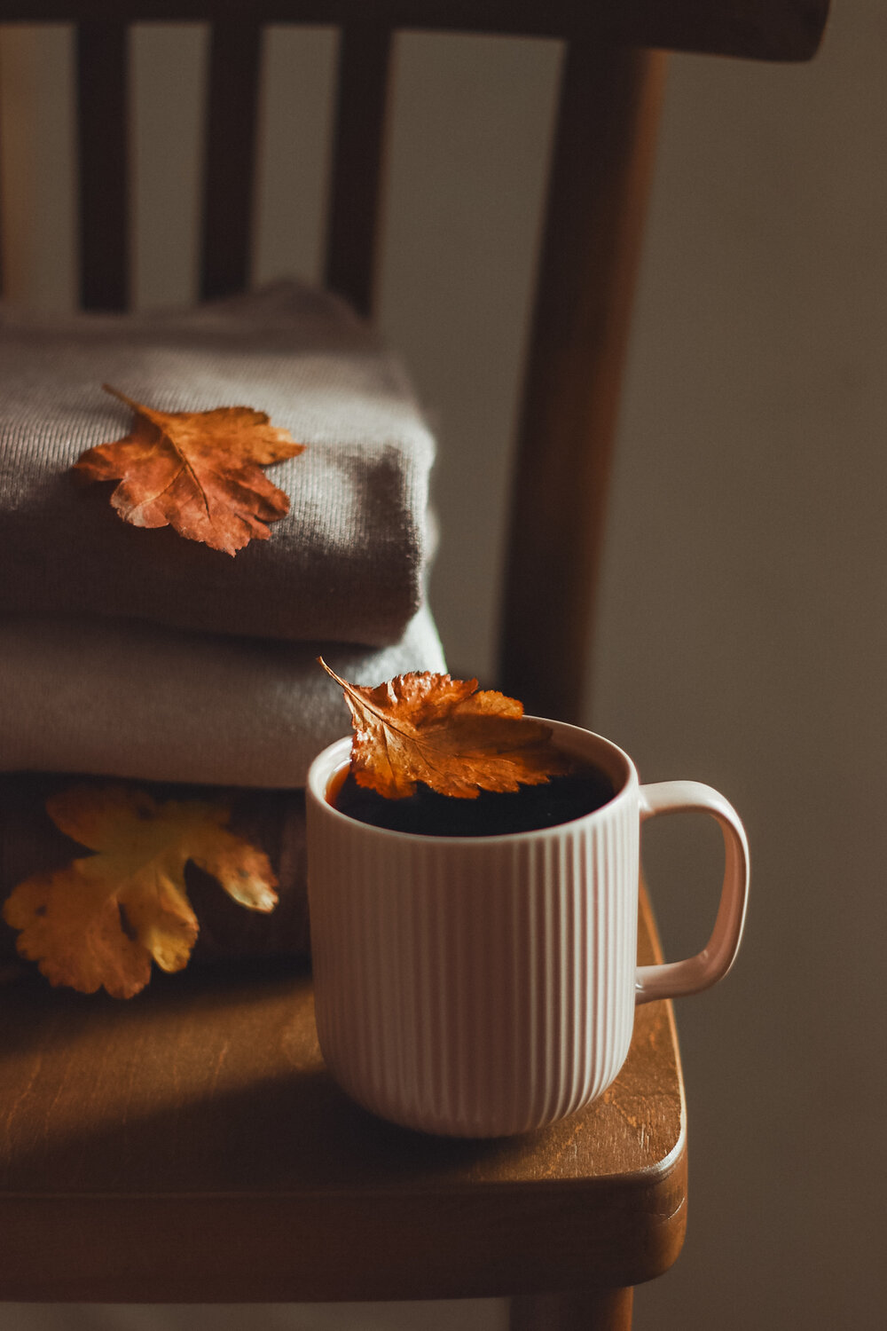 Photo #14093735