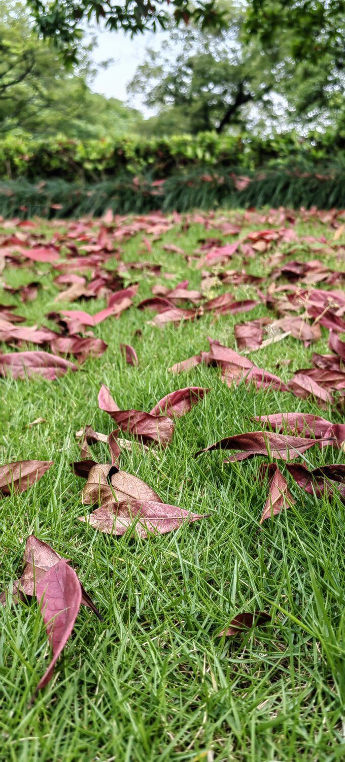 Photo #14093778