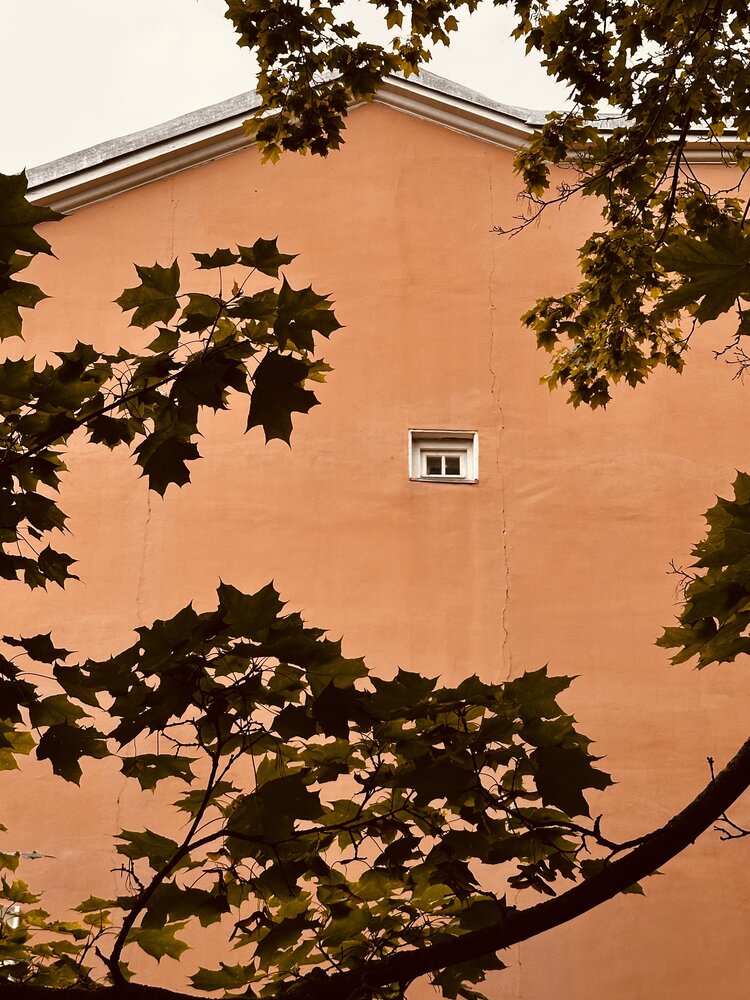 Photograph by NATASHA IO