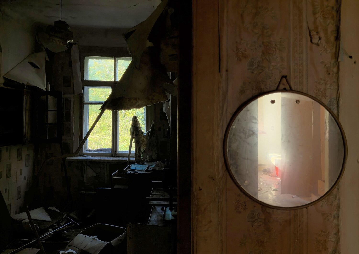 Photo #14093791