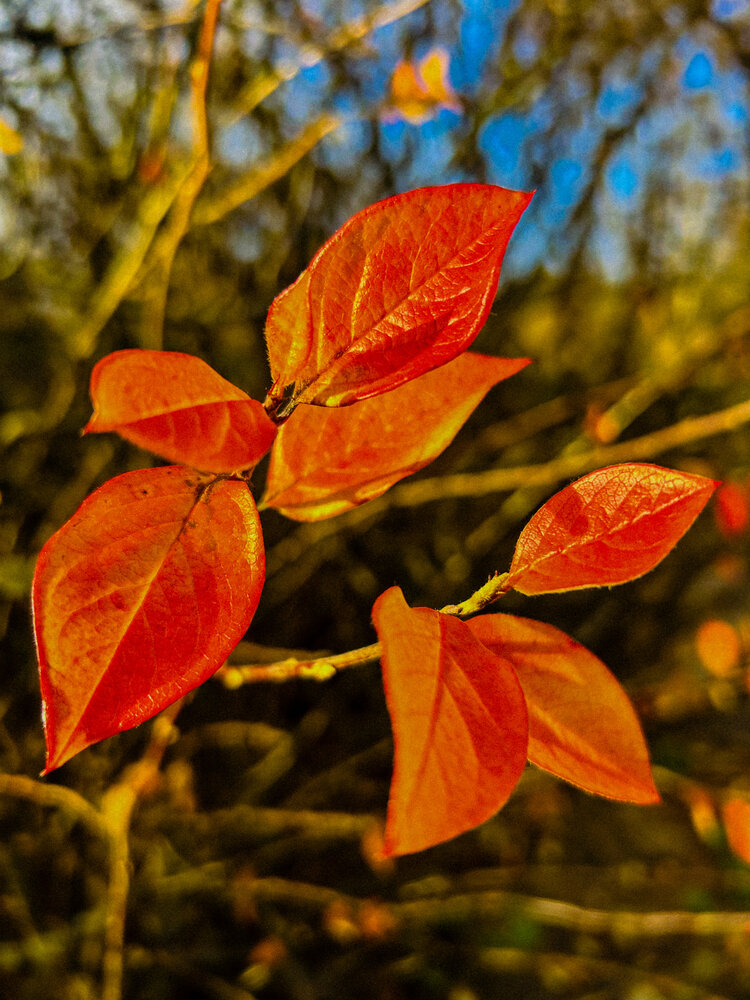 Photograph by Виктория Володько