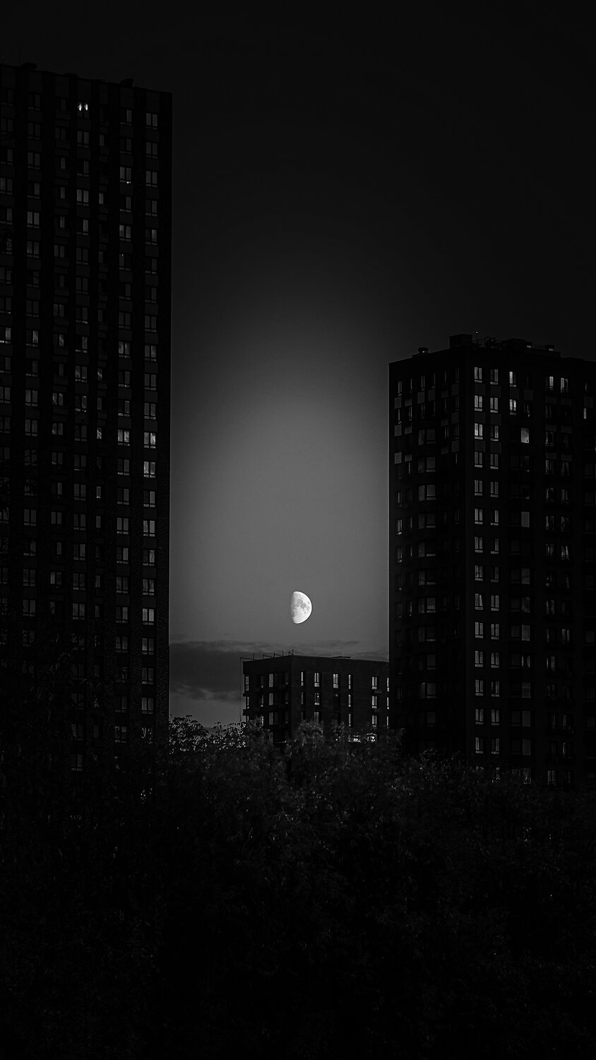 Фотография #14093893