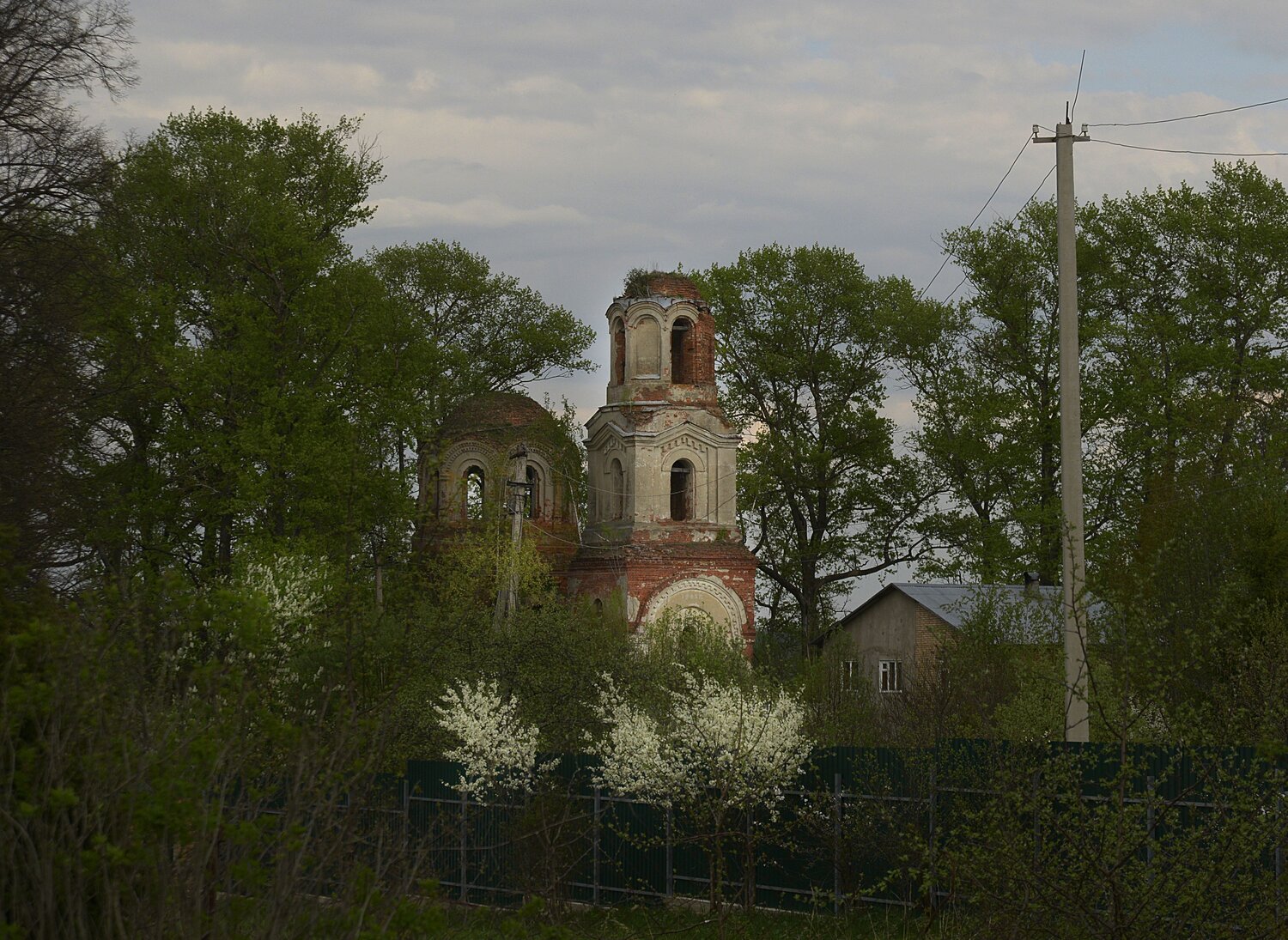 Photo #14093928