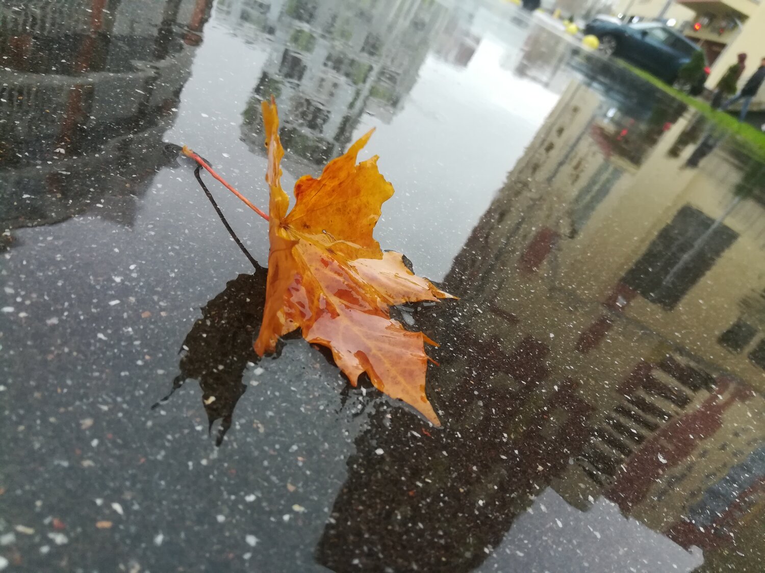 Photo #14093932