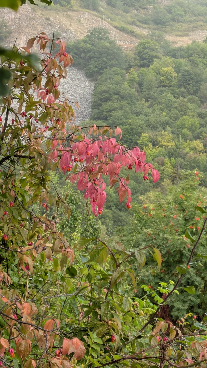Photo #14093952