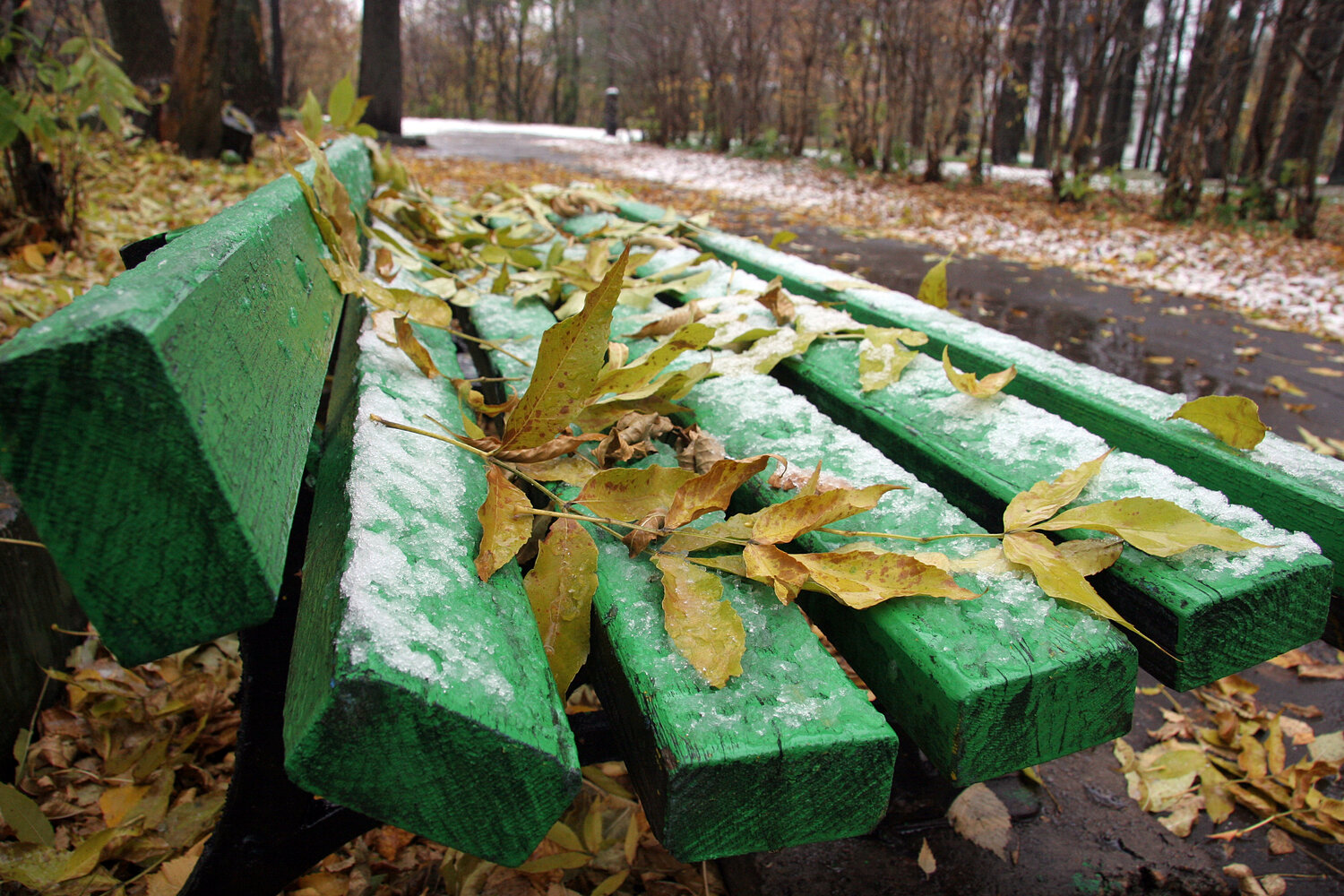 Photo #14093996