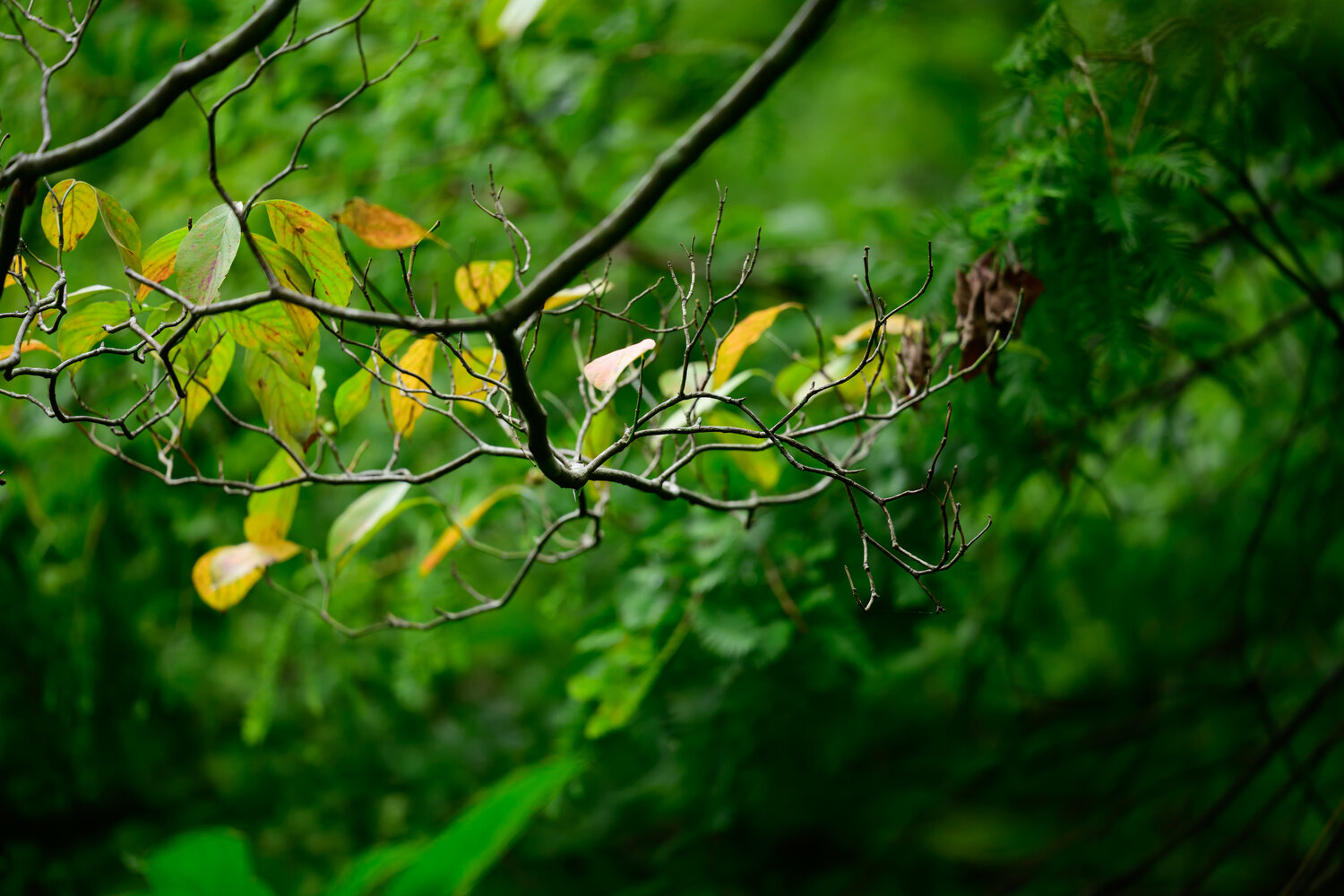 Photo #14094092