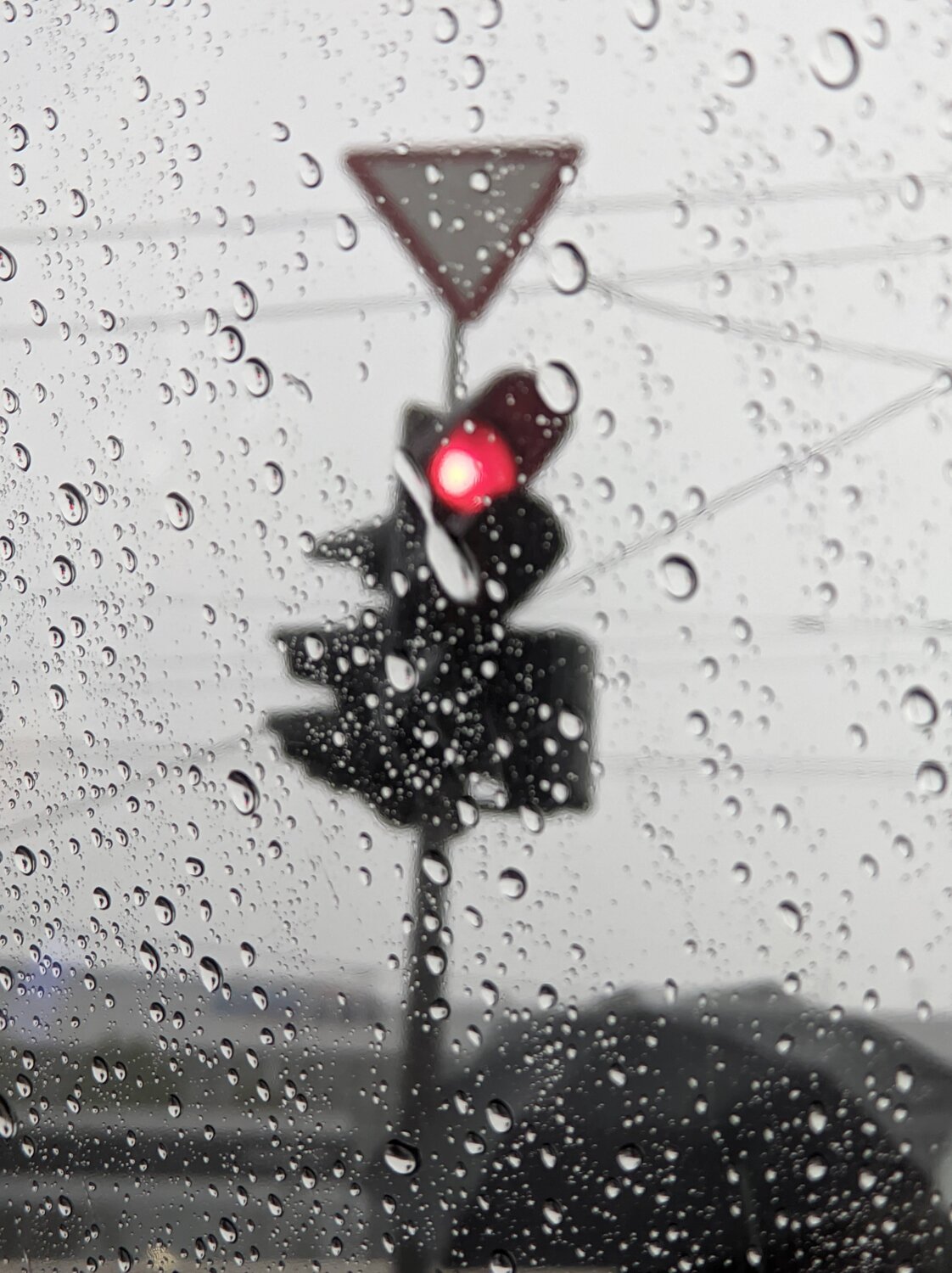 Photo #14094124