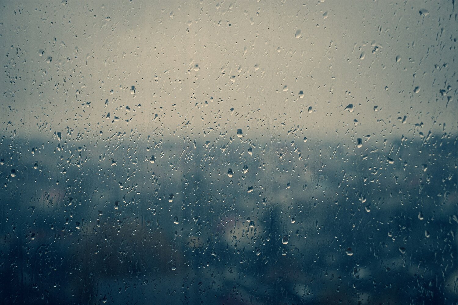 Photo #14094125