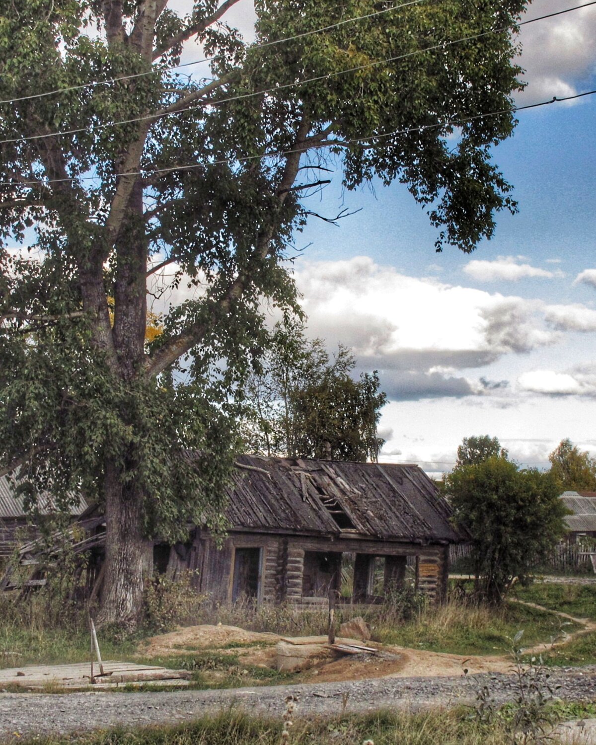Photo #14094163