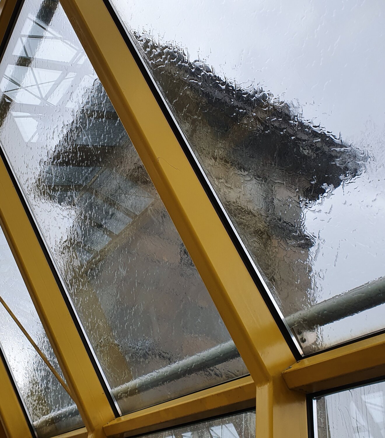 Photo #14094227