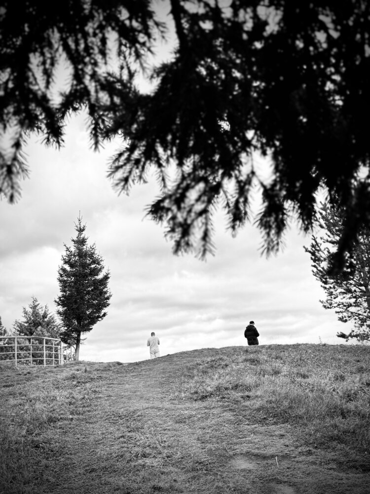 Photo #14094266