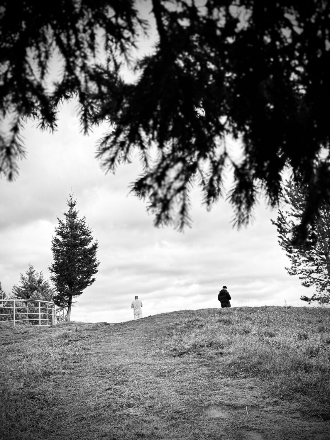 Photo #14094266