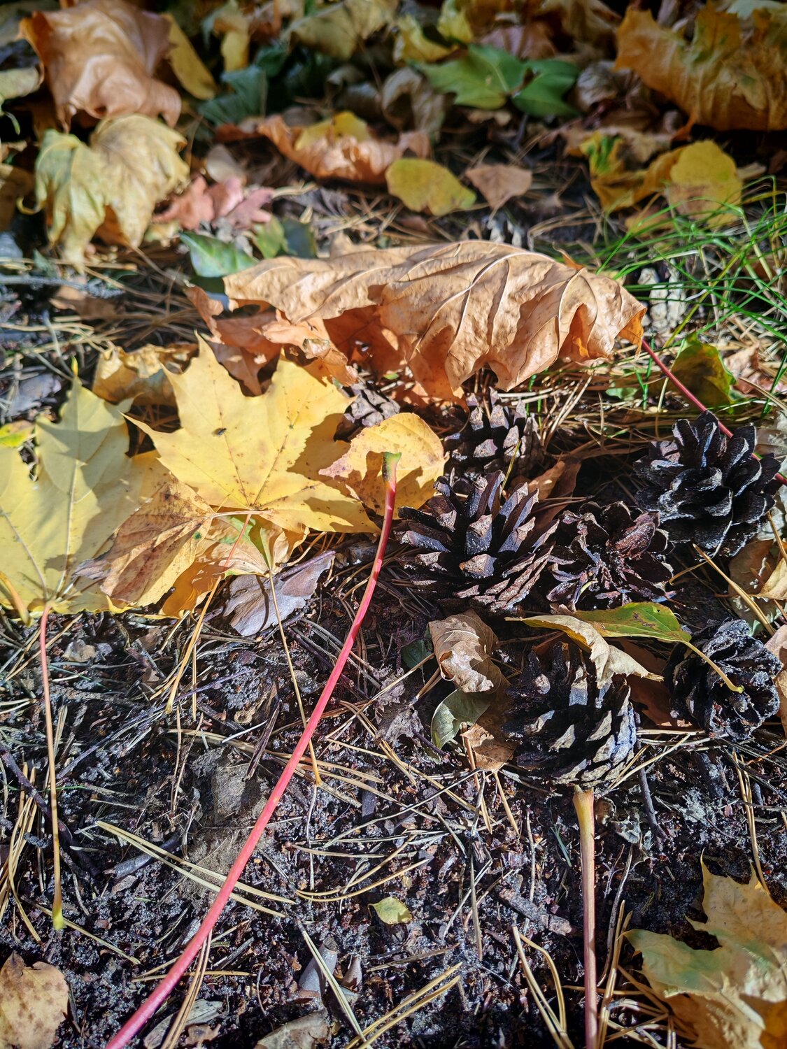 Photo #14094285