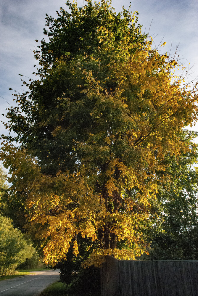 Photograph by Илья Кнышенко