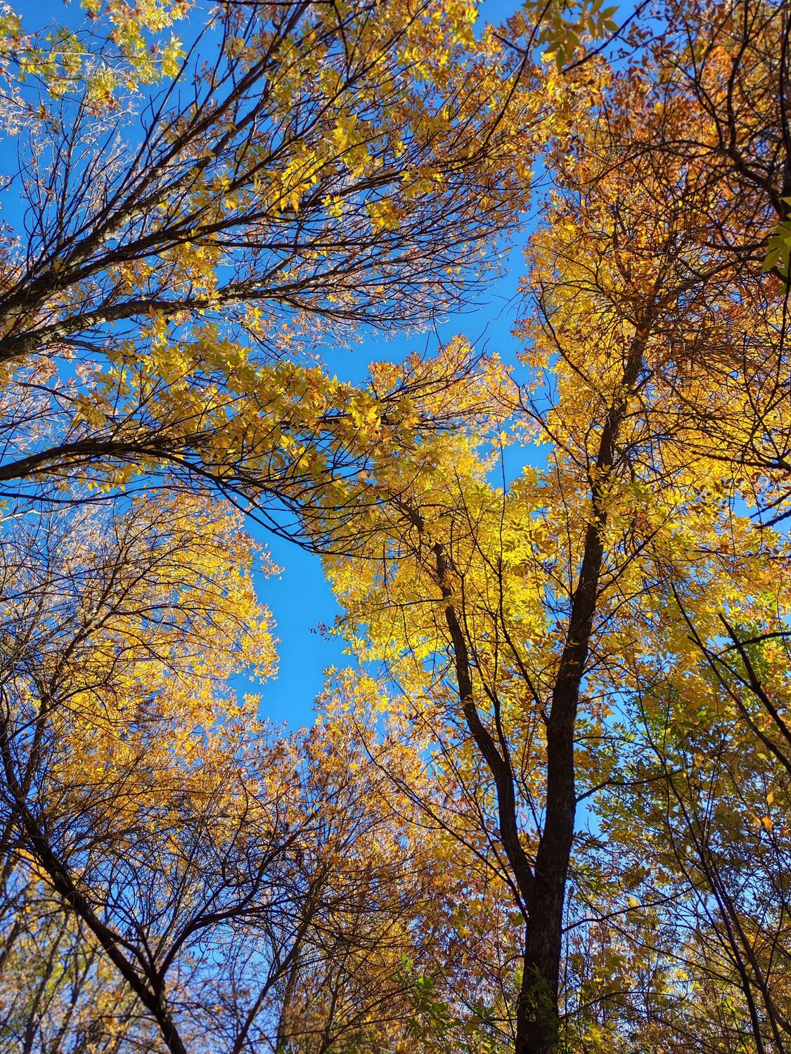 Photo #14094377