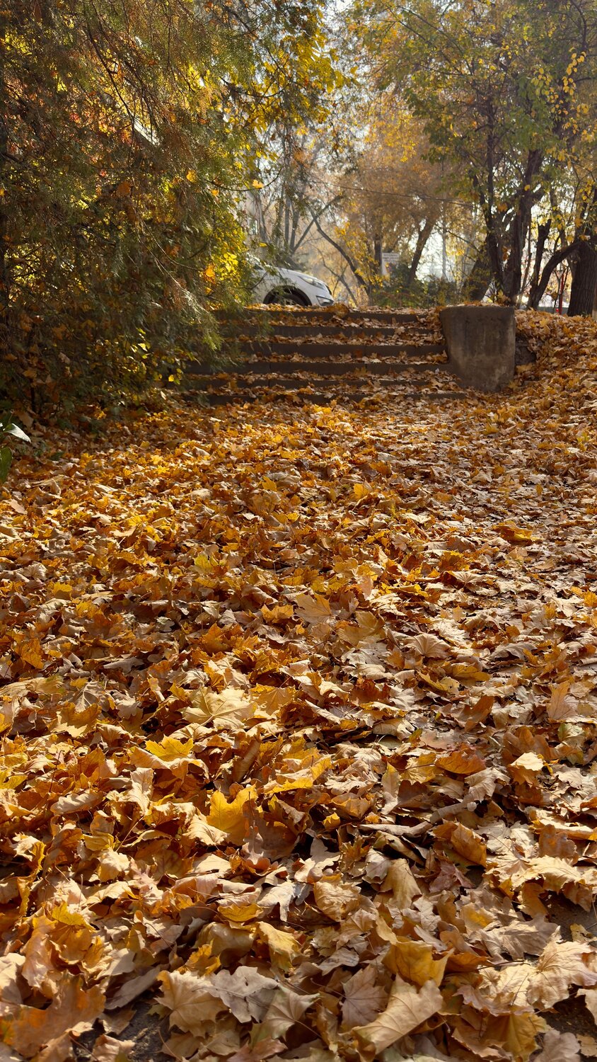 Photo #14094431