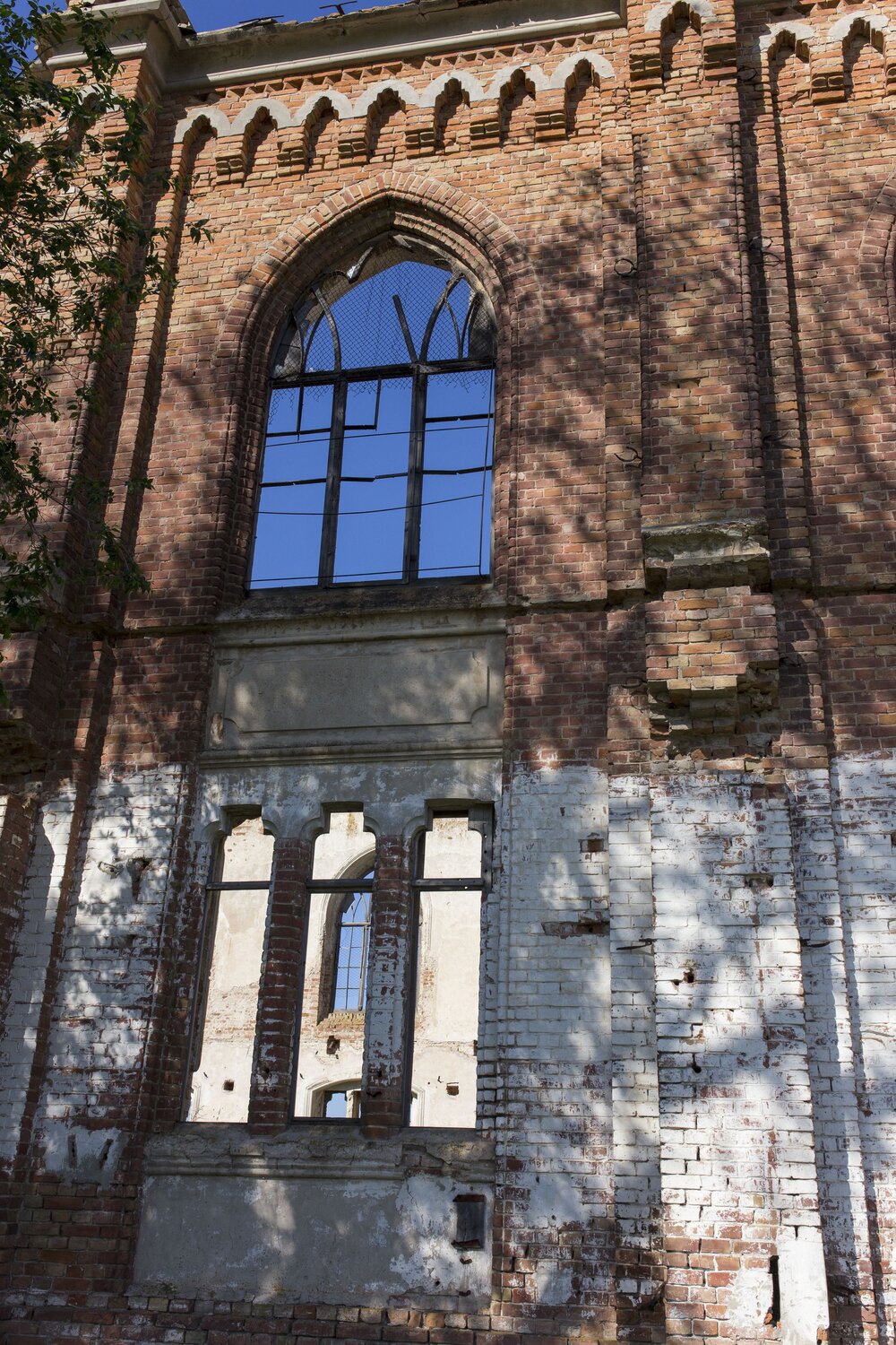 Photo #14094440