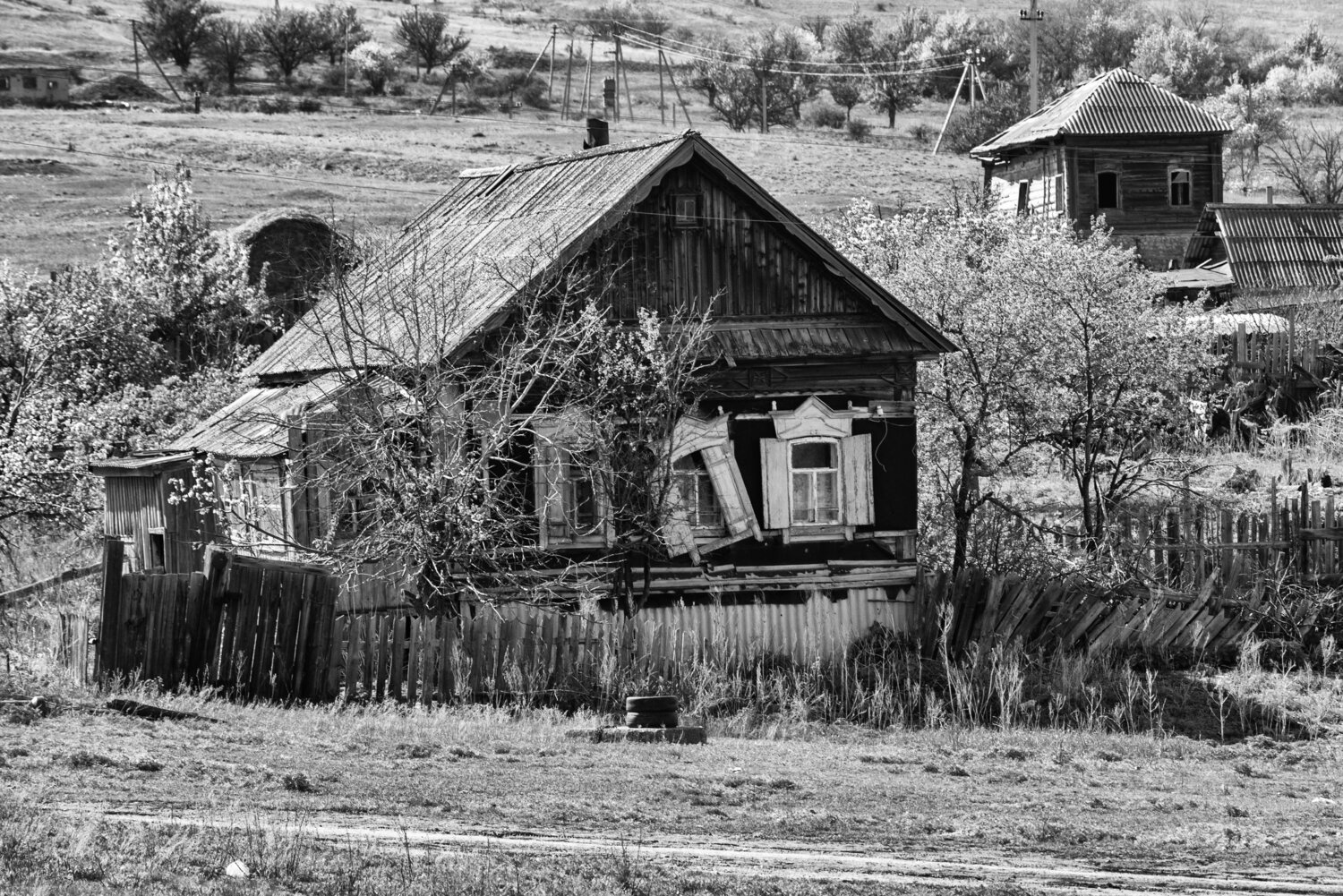 Photo #14094447