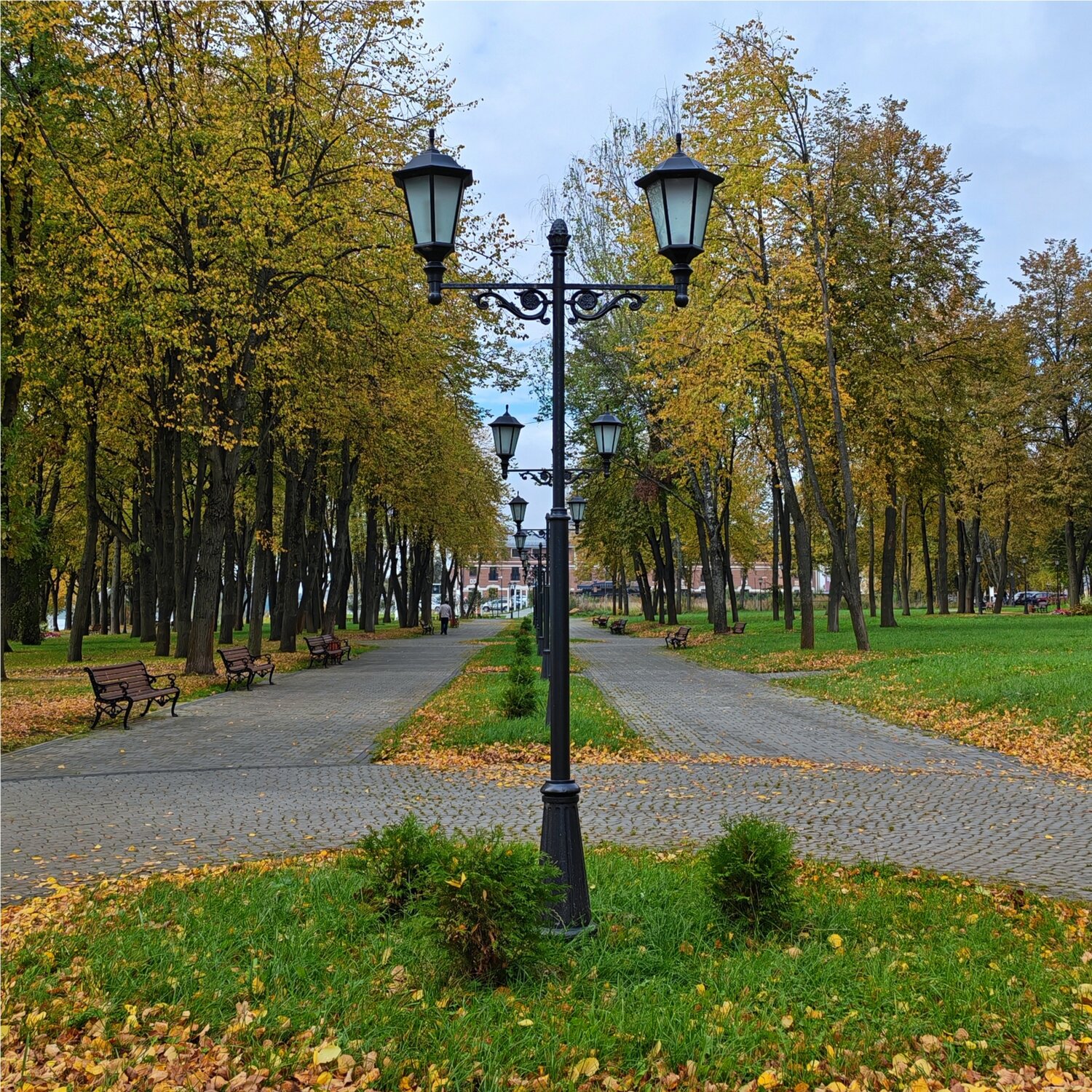 Photo #14094481